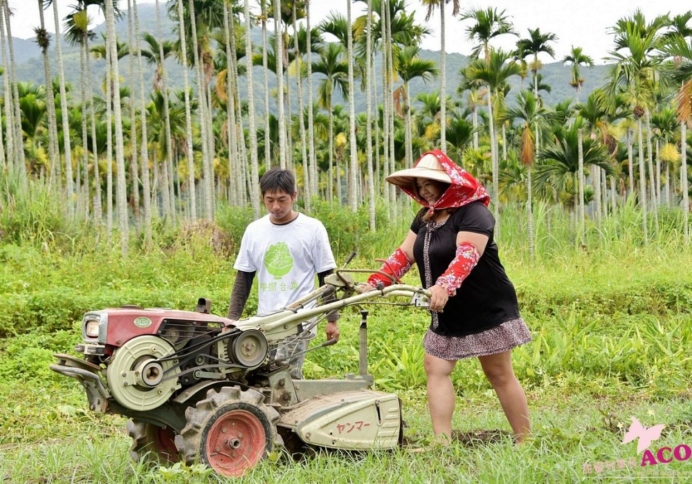 鹿野【饗嚮台東】田蜜蜜翻翻土感受土地的溫暖芬芳，有機農田認識農作四季採果樂趣，好吃好玩的鹿野農村遊樂園食農體驗！台東旅遊/台東一日遊/台東親子旅行