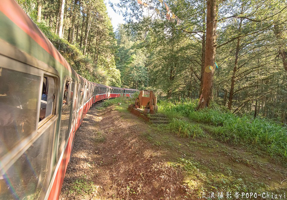 嘉義阿里山林業及鐵道文化介紹