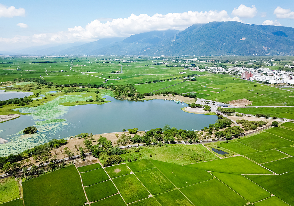 【池上鄉x慶豐村】鄉村裡，隱藏著知性的板塊地質之旅。