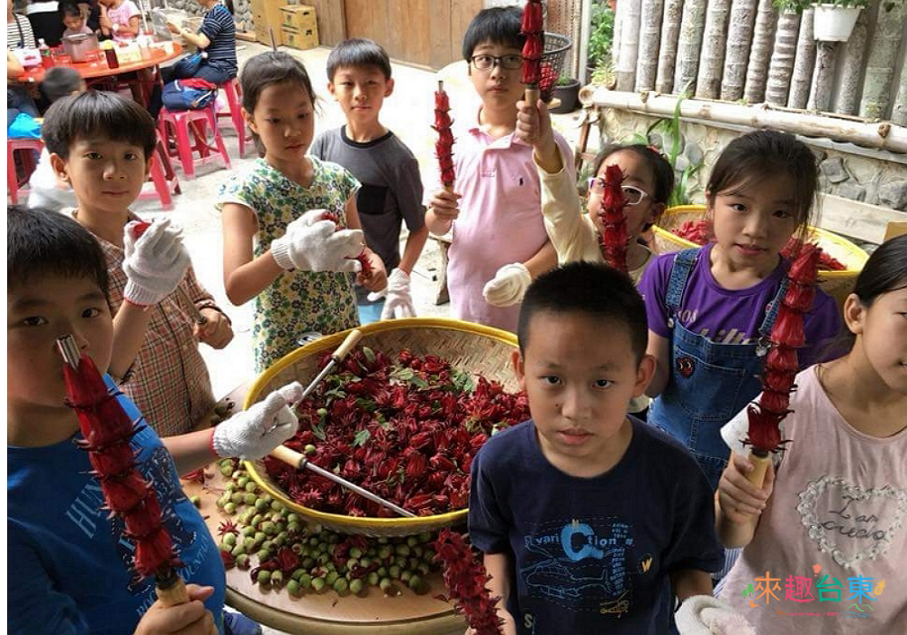 【洛神花遊程三部曲】來趣台東X洛神花體驗X部落文化