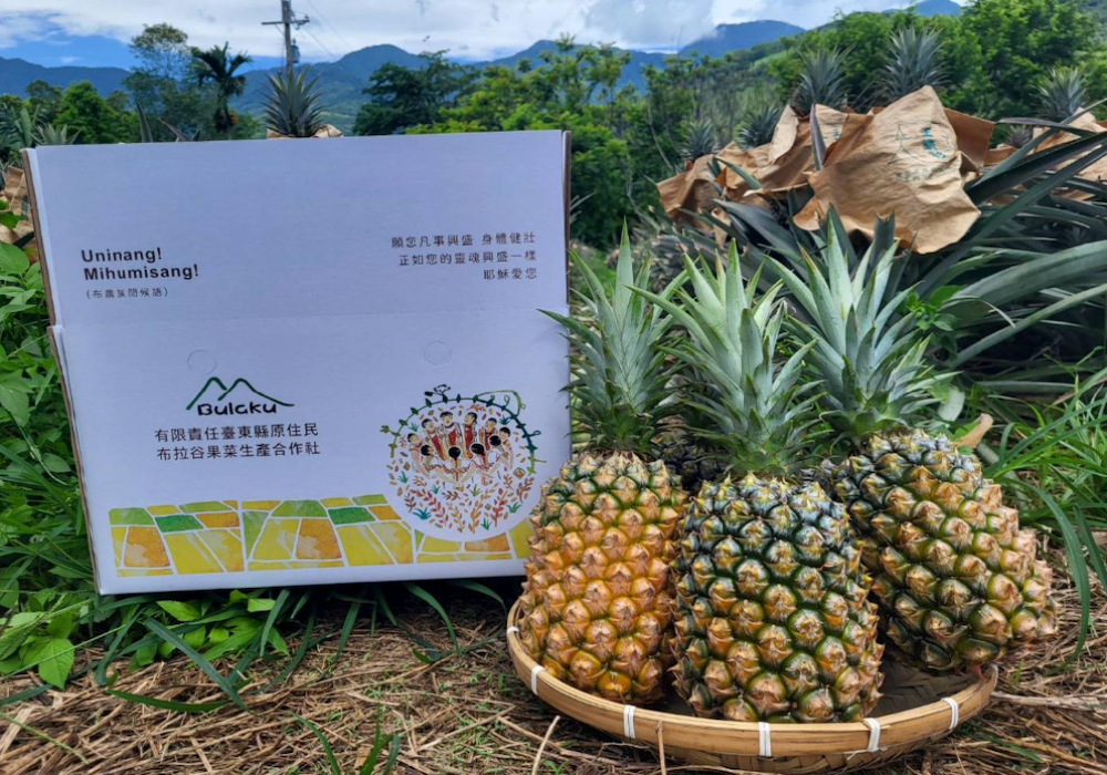 【臺東。延平】從山谷到市場：布拉谷合作社農業創新