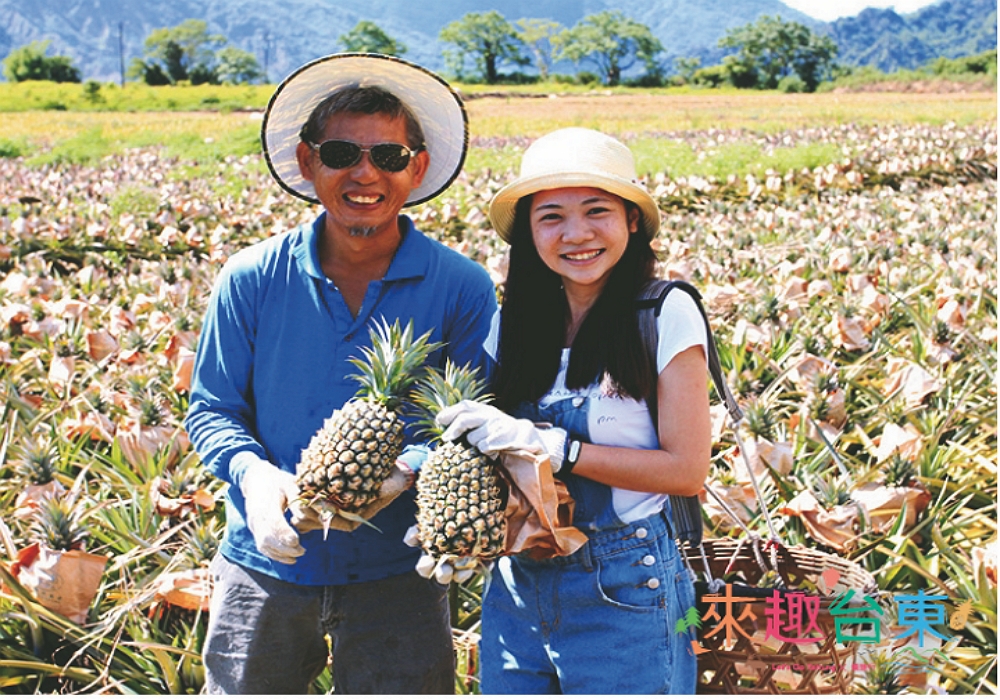 來趣台東夏季限定甜蜜蜜之旅！【來趣台東X鹿野鳳梨X手工冰淇淋】