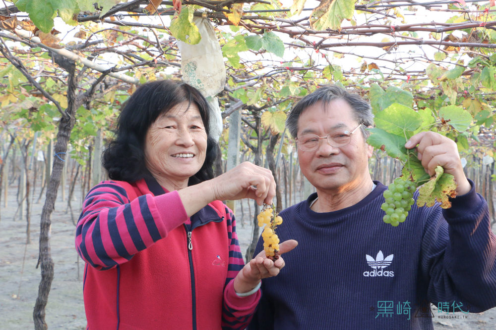 鵬群頂酒莊  近百種葡萄品種，宛如葡萄博物館 彰化二林小旅行