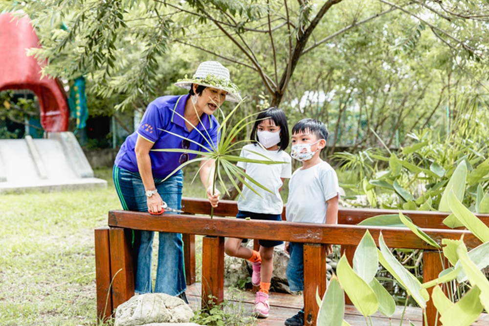 黃荊農村：一起走進黃荊的世界，開啟一場低碳又好玩的自然冒險！