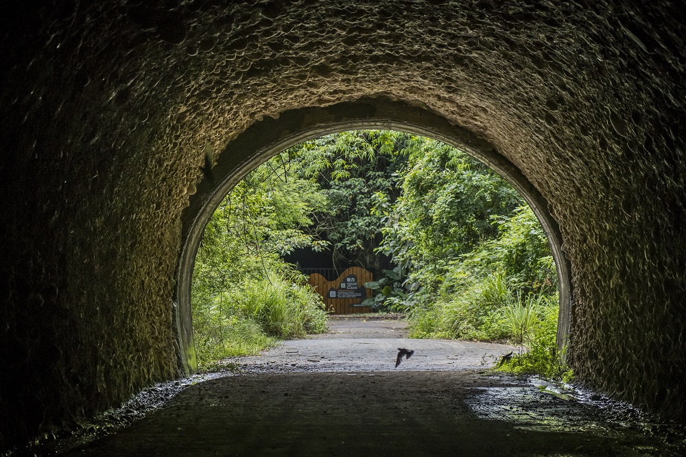一窺六龜隧道秘境　六山十八的奇妙創作