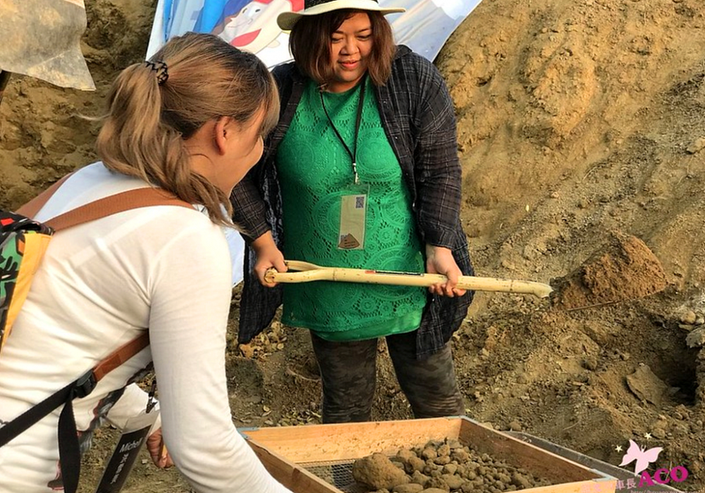 【苗圃的故鄉】嘉義農村生態小旅行～東園種苗園孕育樹苗，怡馨緣飄香茶花＆苦茶油品嚐，拈花惹草作陣行
