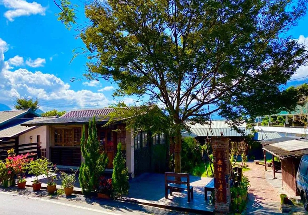 台東池上一日遊 漫步萬安社區的樹蔭光影，遇見無垠稻浪之外的更多風景