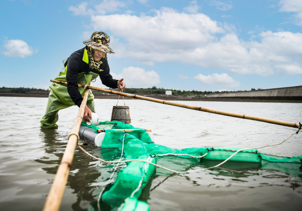港底人的私房手藝。來自澎湖成功的家鄉味