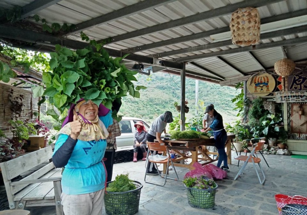 種下小山芋，也種回來義的曾經