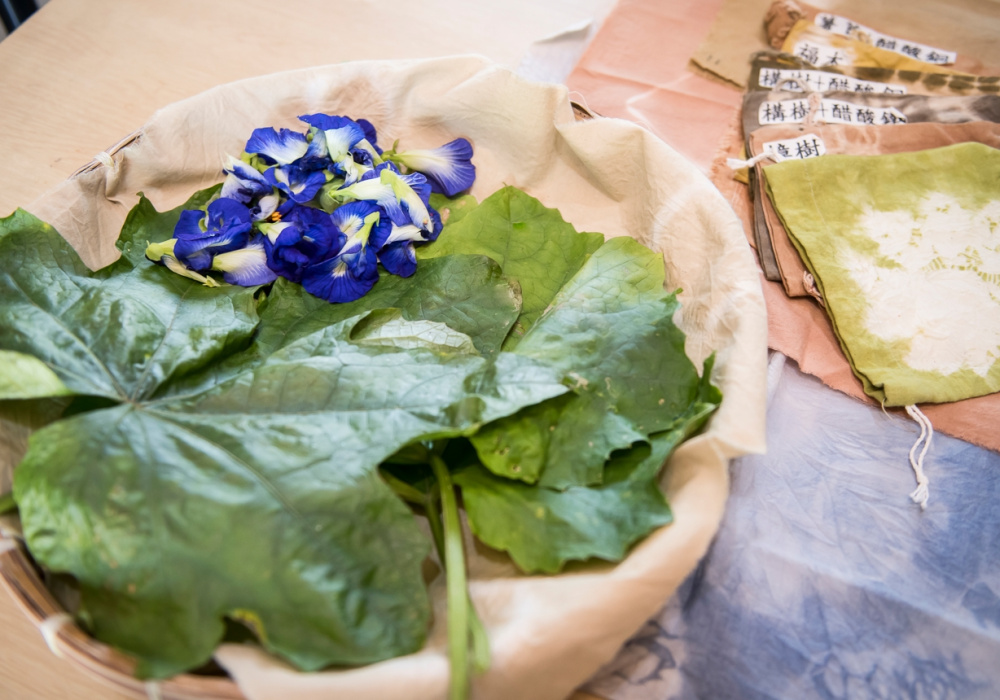 池上里山慢漫遊，縱谷裡的生態奇遇記