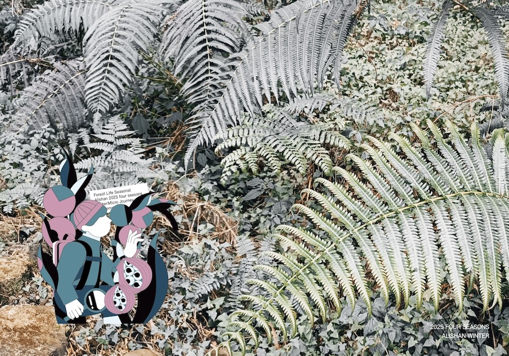 2025阿里山森旅季：冬，蕨類微觀之旅