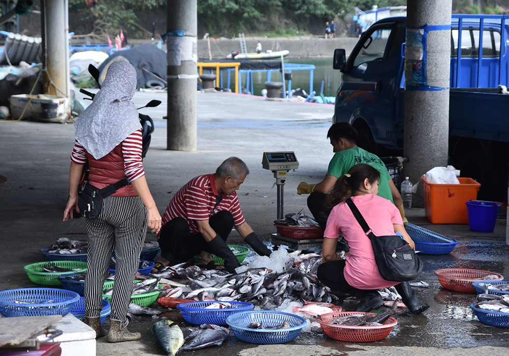 【大武鄉x尚武村】 南迴大門，尋找大陳義胞的足跡