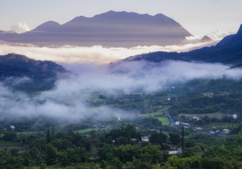 一畝畝山村香草田　為每顆心拂塵