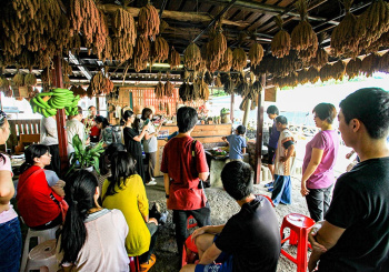 【台東故事】蓋亞那工作坊：一鍋小米飯，飄散出傳統布農小米文化的香氣