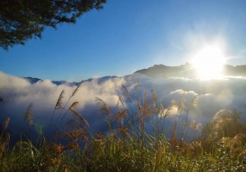 在阿里山迷霧森林觀山賞鳥，夜宿一晚坐看雲起與日出