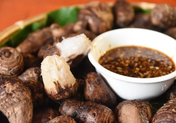 【金峰鄉x歷坵村】過火淨身打屁股才能進入的部落