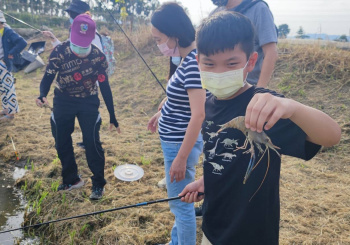 潮厝最潮玩法!認識蝦蝦的一生