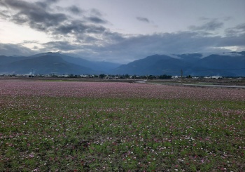 【鹿野鄉x瑞源村】 源離塵囂，一個人的山水有相逢
