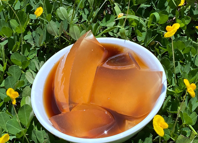 阿里山-洗愛玉與風笛體驗