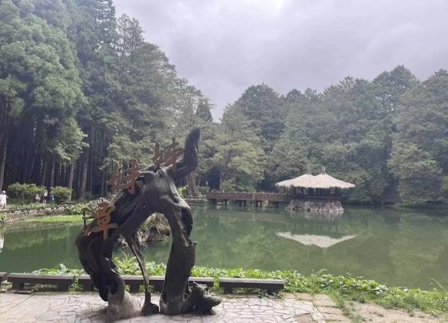 嘉義好玩卡-阿里山拼車一日接送套裝行程