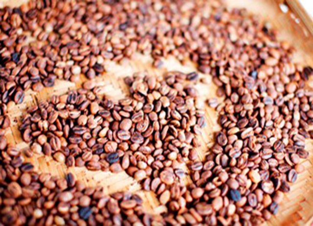 屏東.屏北旅遊-荒野求生計(定價1599元 旅展獨家價1299元...