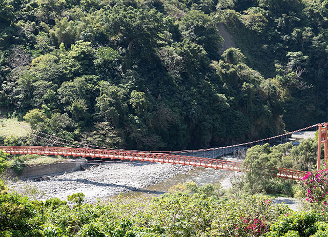 OPENING!金峰 東66線 | 小米文化二日野營(生態之旅、戶外野營、山林探索)