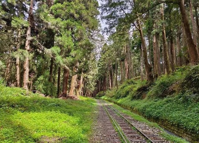 嘉義好玩卡-阿里山兩天一夜套裝行程