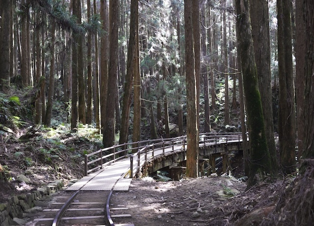 山海圳原鄉之路（特富野古道南端到部落及鄒族部落到特富野古道北端自忠）-鄒族區接駁及住宿