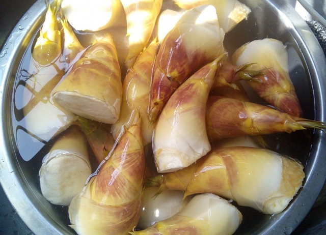 編號026-【彰化優質農村】彰化 X 竹夢自然X領角鴞隊 X 半...