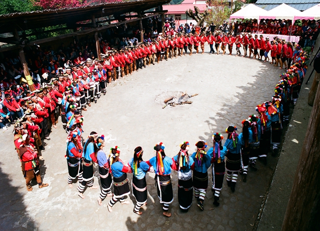 阿里山。特富野部落。樂舞文化(3天2夜包車行)