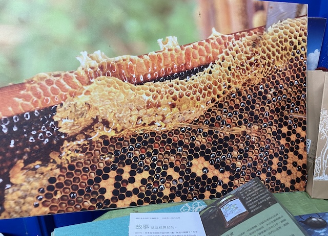 十八羅漢山生態之旅及多多鳥濕地學校一日遊