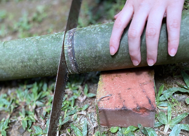 阿里山-浪漫-愛情對杯體驗