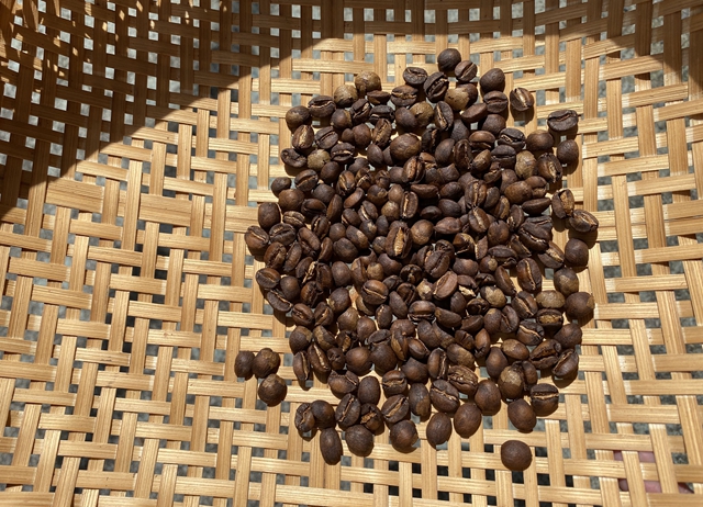 阿里山-咖啡-咖啡職人體驗