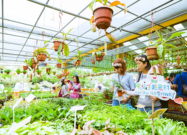 編號031-【彰化優質農村】品味花鄉漫遊趣