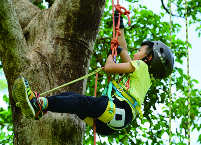 加購體驗活動-攀樹 (每人)