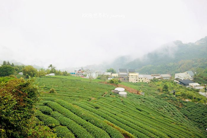 林園製茶-茶葉DIY-採茶製茶體驗 茶園工廠參觀導覽(2人)