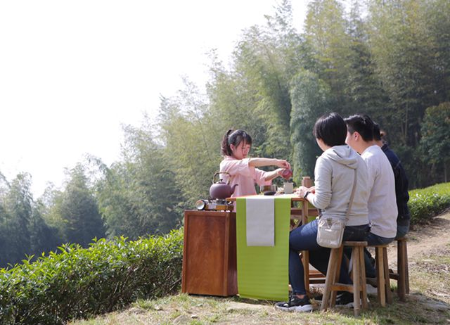 茶席體驗(可坐2-6人)