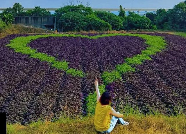 編號036-【彰化優質農村】品農村爆米香二林茗酒小旅行 療癒體驗...