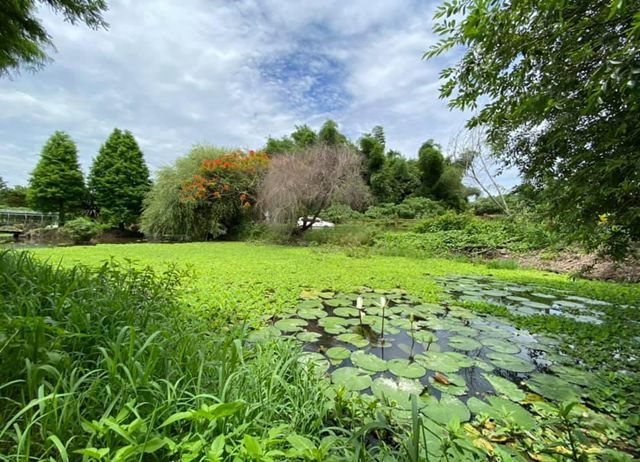 編號007-【彰化優質農村】探索永靖四芳、玩闖社區尋寶趣