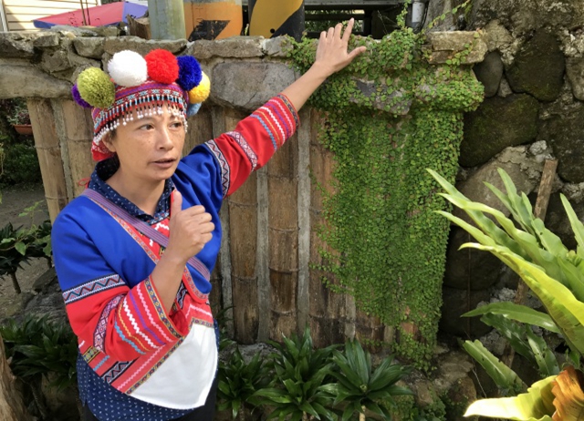 阿里山。來吉+得恩亞納部落。紮根旅行(3天2夜包車行)