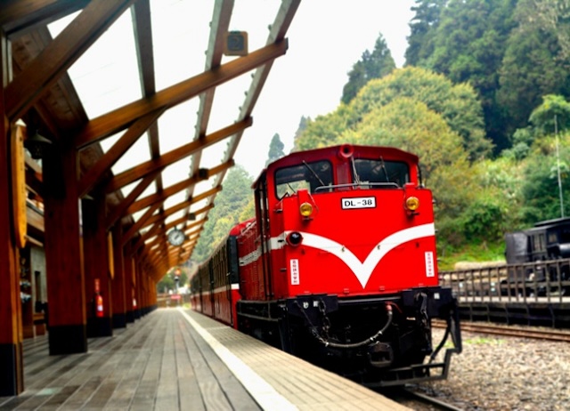 阿里山小火車之旅，晨曦初升，特富野古道，森林的詩篇