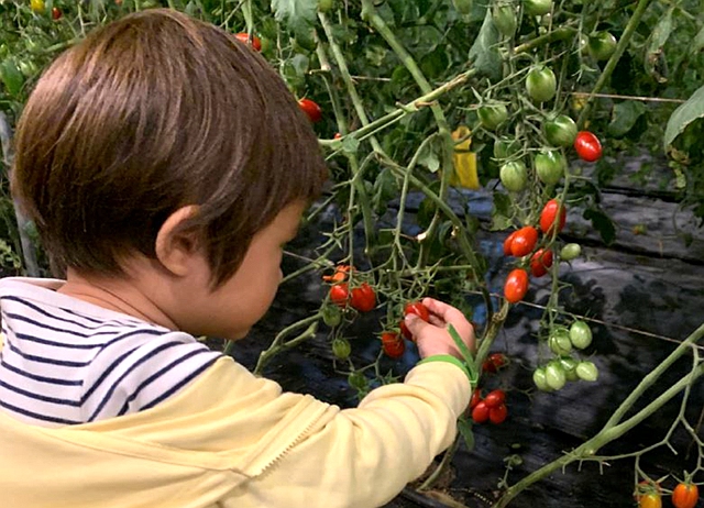 編號012-【彰化優質農村】彰化大村空氣好甜