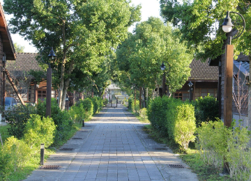 花蓮。《復麗糖皇》漫步花蓮—細品中區