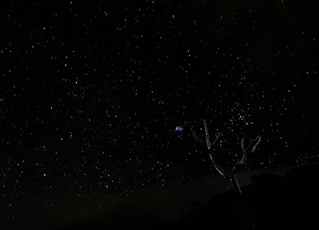 阿里山國家森林遊樂區外-星空X日出觀景X雲海